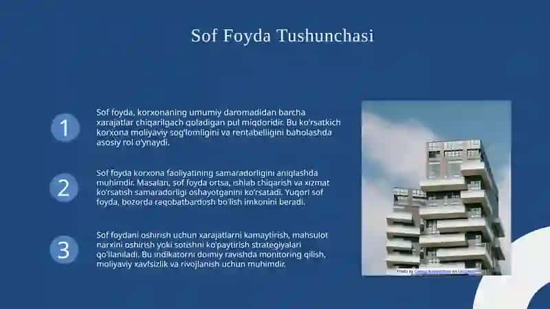 Sof Foyda Tushunchasi 3