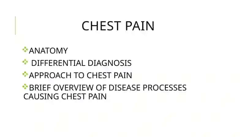 The chest 3