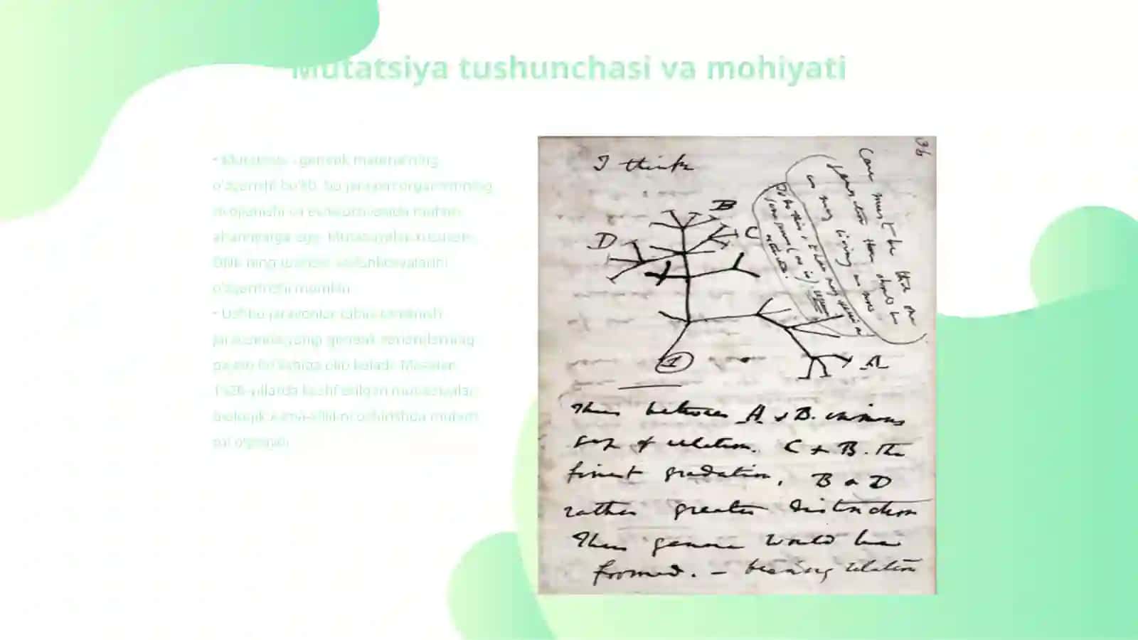 Mutatsiya:sabablari, shakillari, ahamiyati va biologik tuzulishi 3