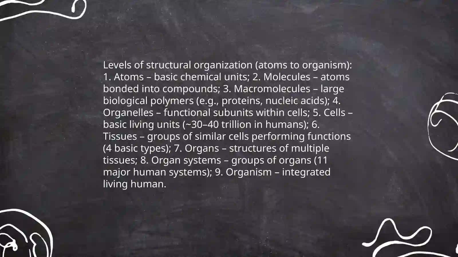 The Structure of the Human Body 3