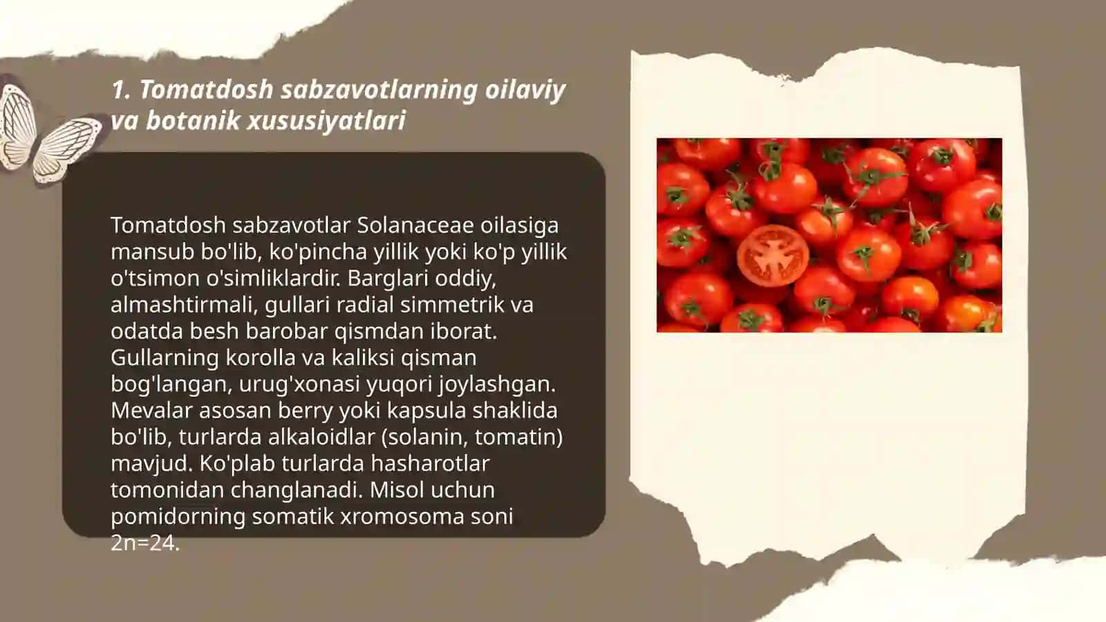 Tomatdosh sabzavotlar 3