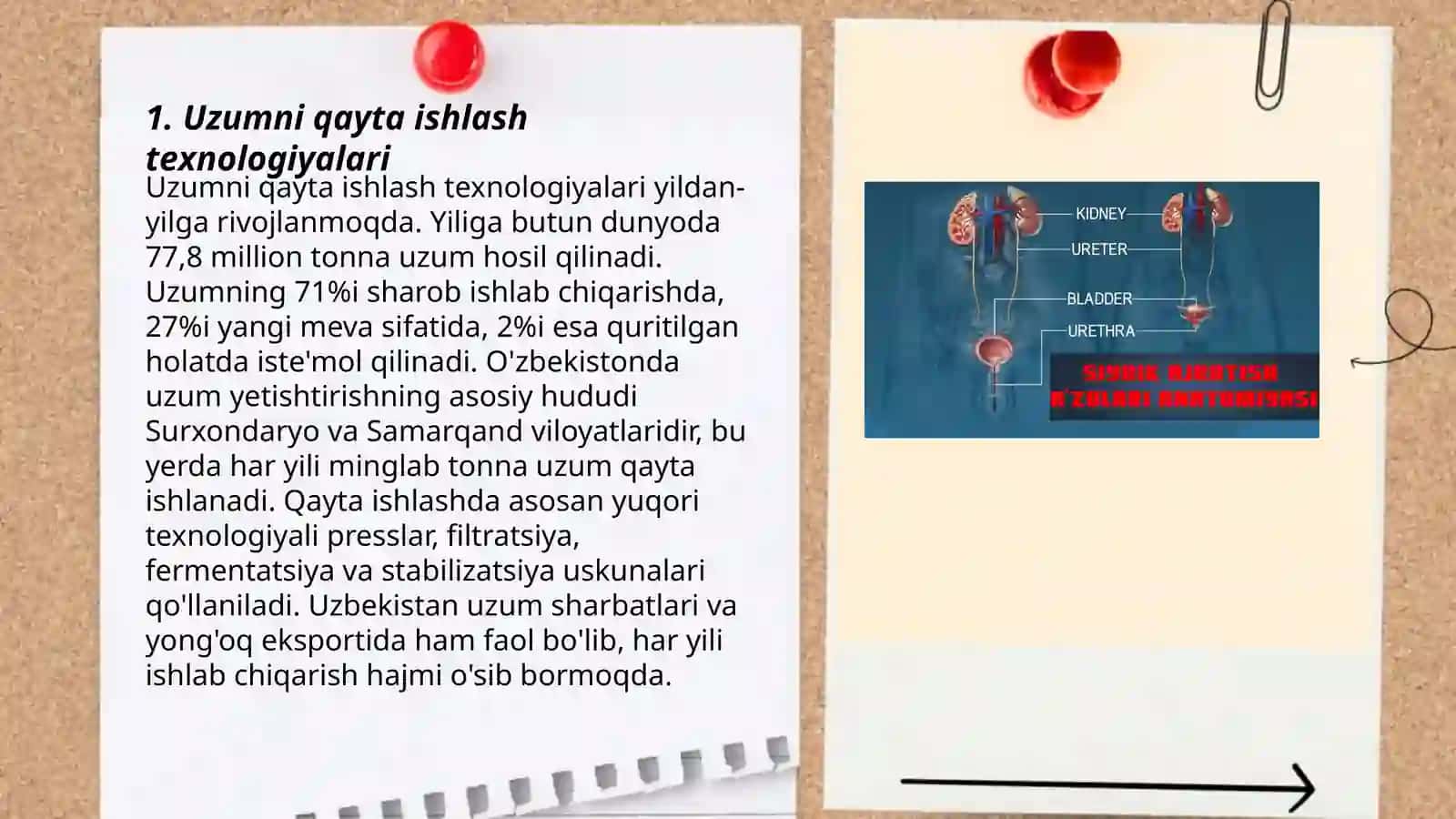 uzumni keraksiz qismlardan ajratish qurilmasi 3