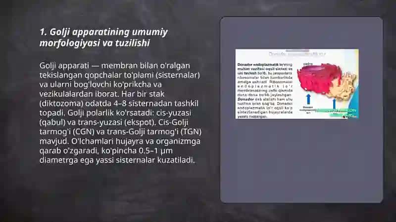 Sitoplazma organoidlari golji apparati va lizosomaning tuzulishi. Kritmalar 3