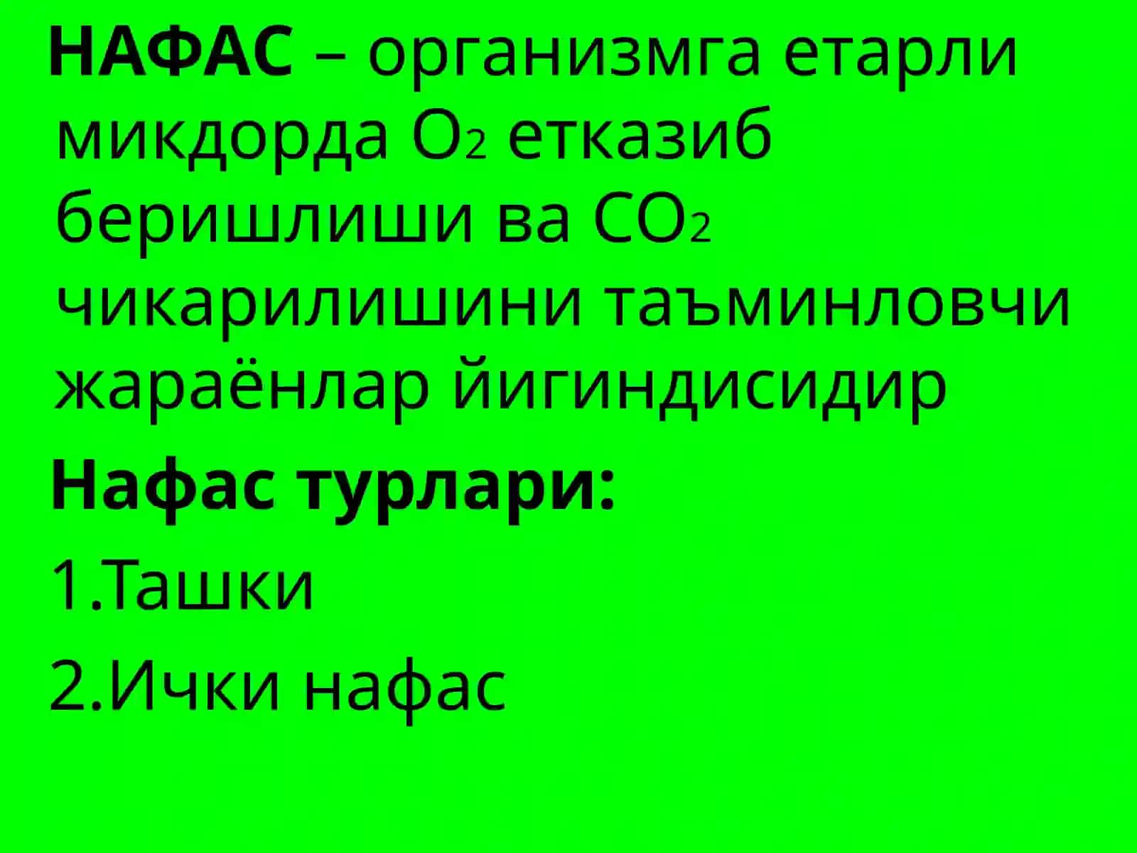 Ташки нафас патофизиологияси 3