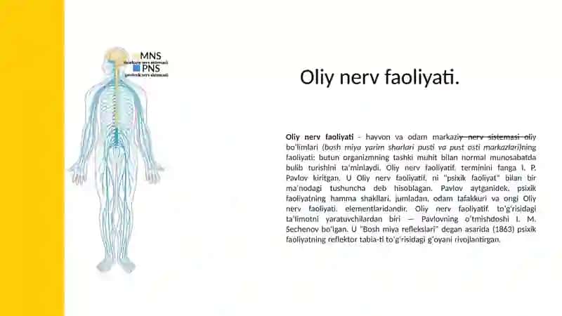Oliy nerv faoliyatining gumoral , morfologik va asabli nazariyalari​​ 3