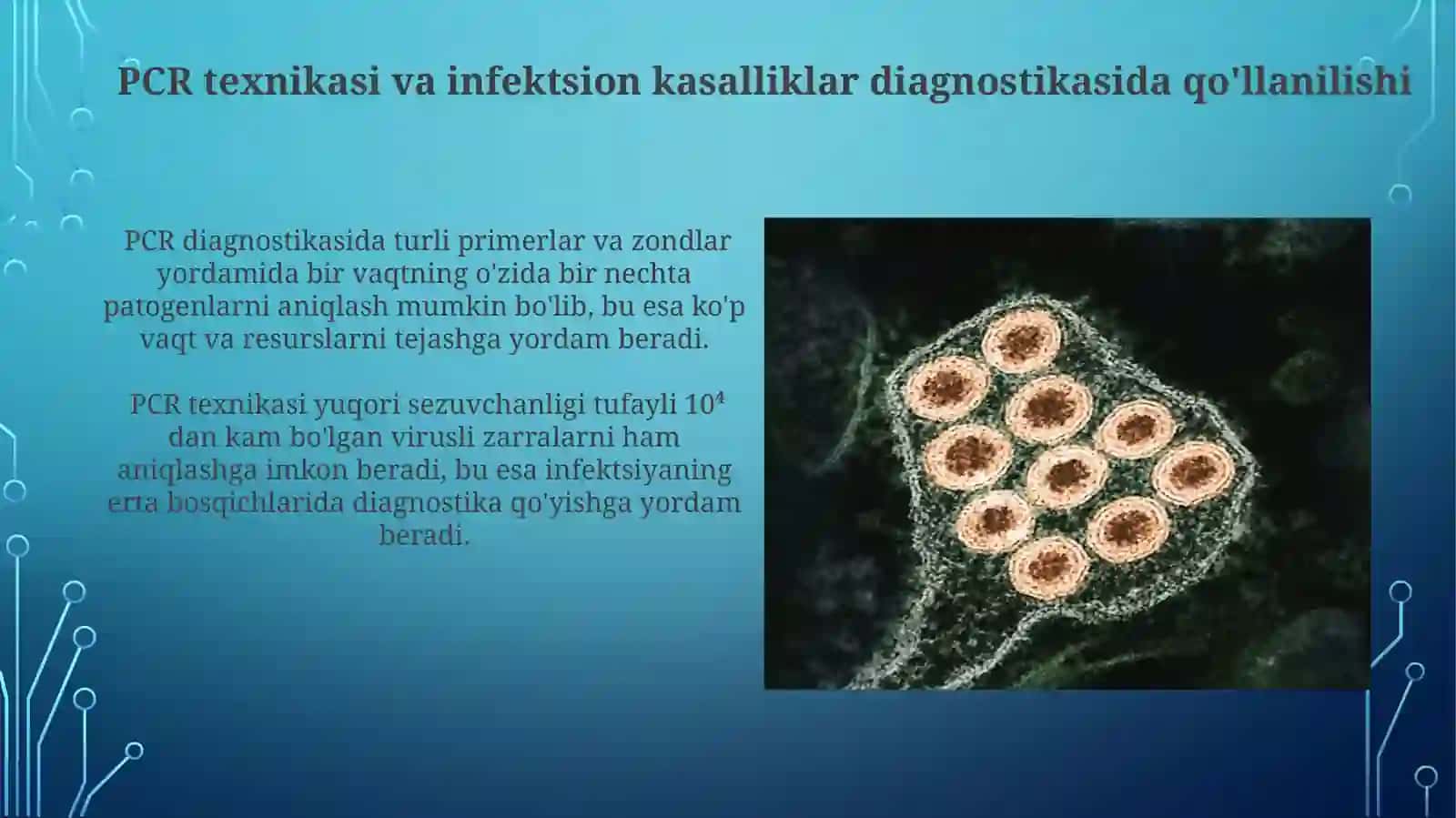 PCR texnikasi va infektsion kasalliklar diagnostikasida qo'llanilishi 3