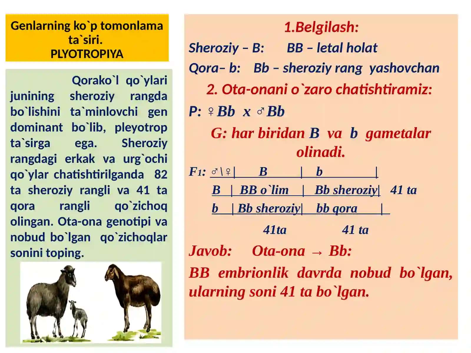 NOALLEL GENLARNING PLEYOTROP TA'SIRI 3