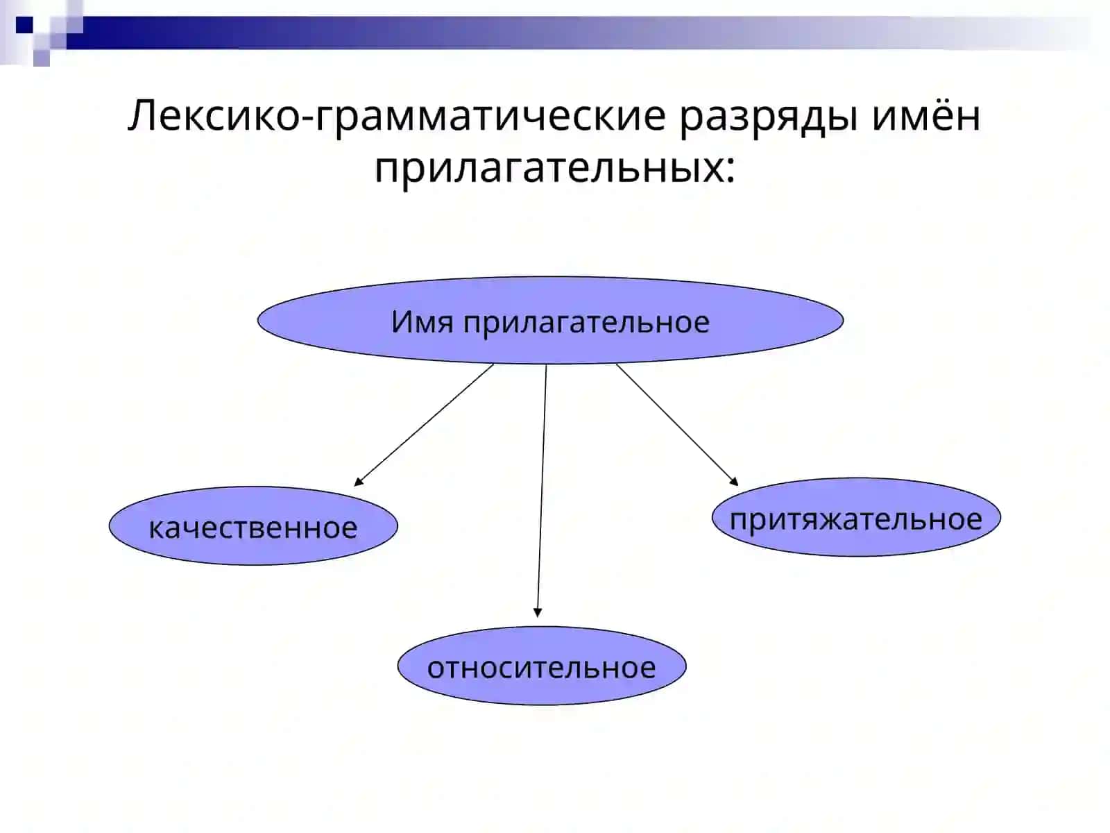 Фукции  лексико-грамматических разрядов и словоформ прилагательных. 3