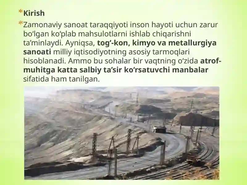 Tog’-kon, kimyo, metallurgiya sanoati va atrof-muhit muhofazasi 3