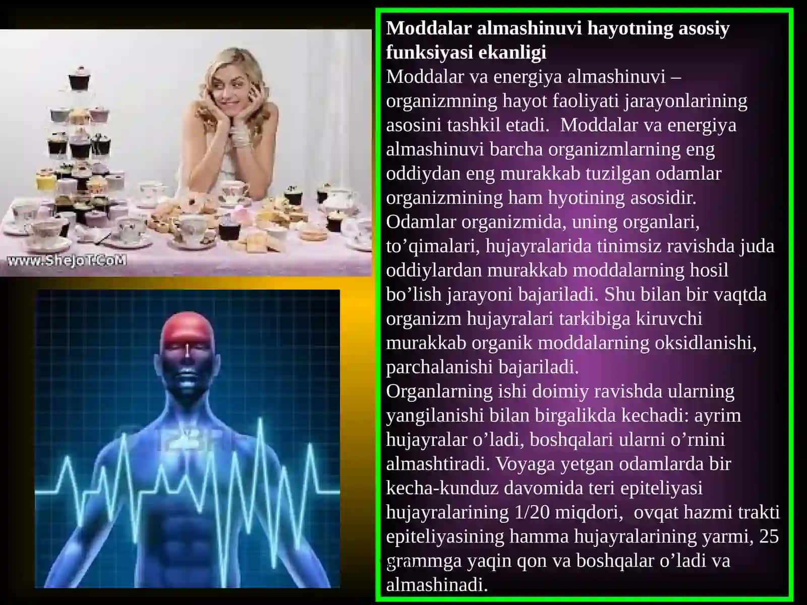 Moddalar va energiya almashinuvi 3