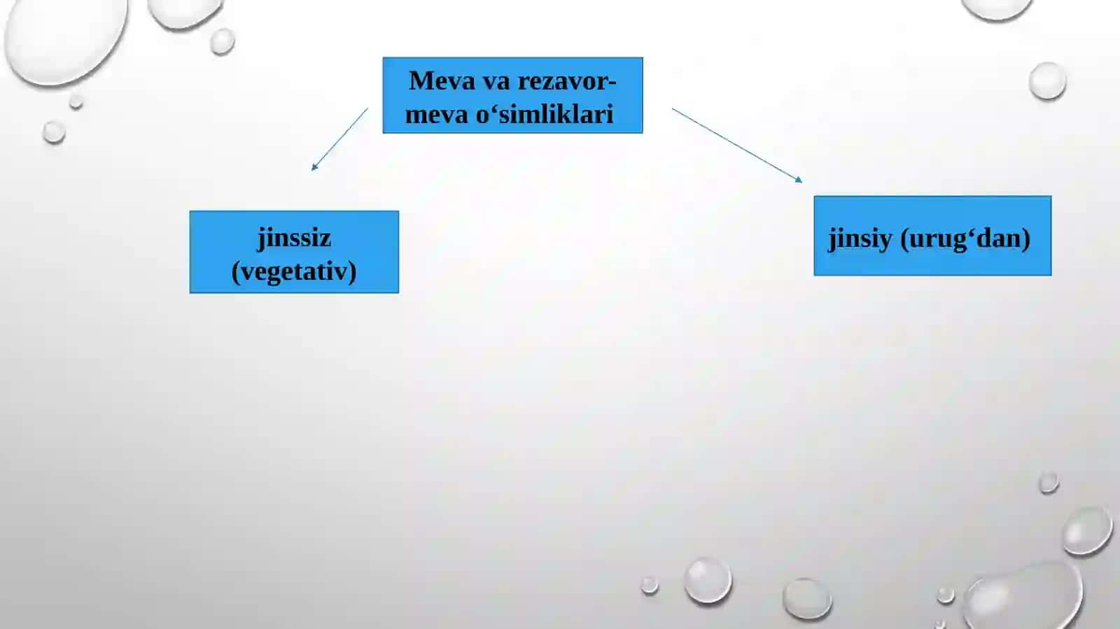 Meva va rezavor meva o’simliklarini kupaytirish 3