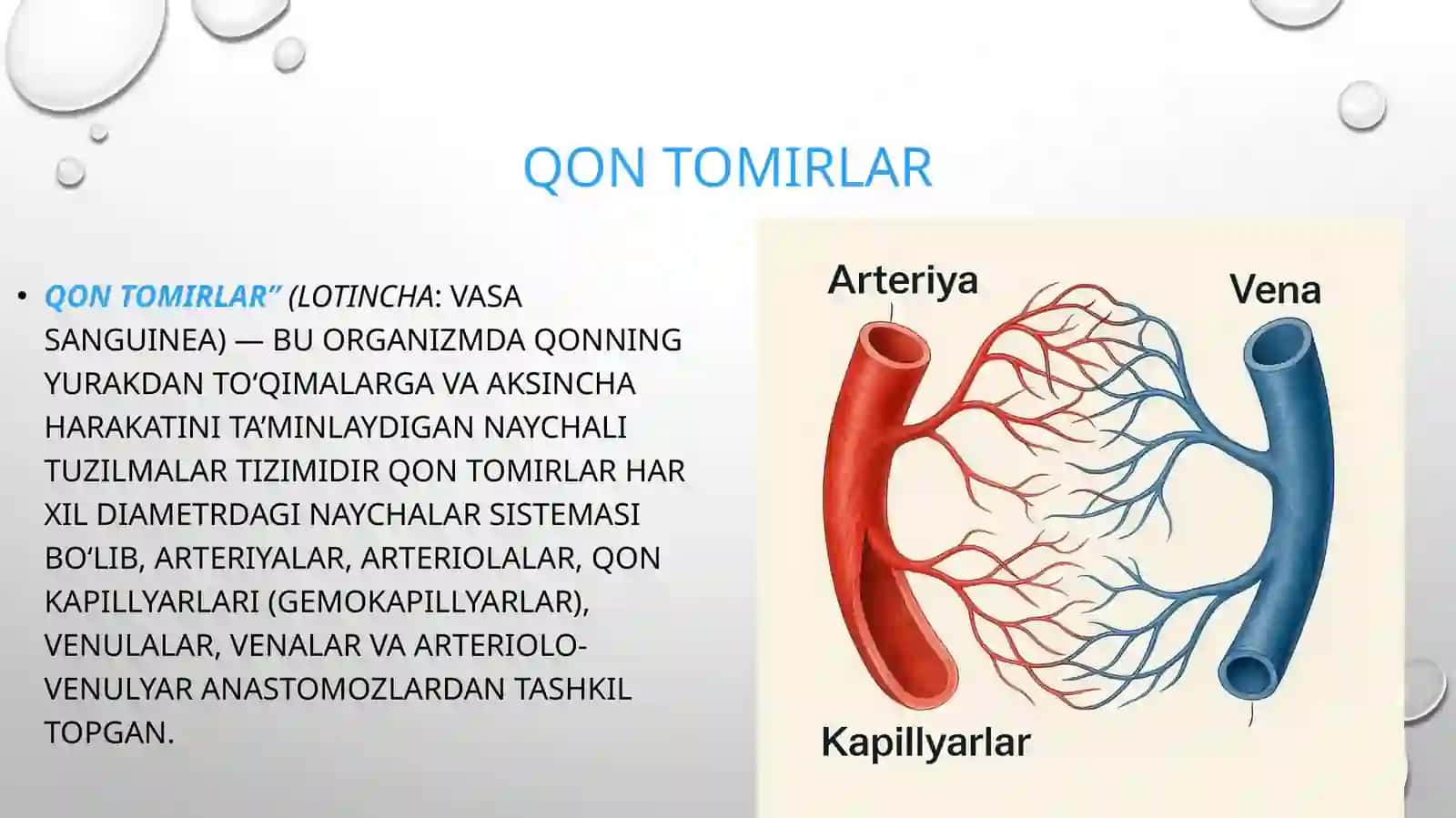 Yurak-qon tomir tizimida regenerator va kompensator jarayonlar 3