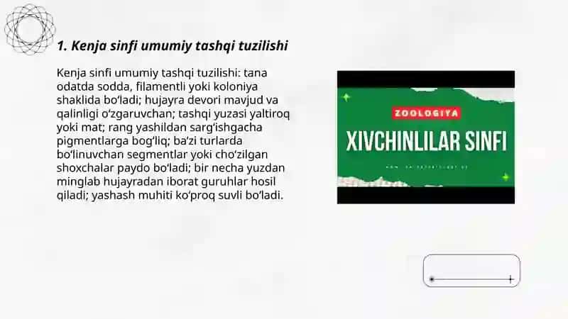 Kenja sinfi umumiy tashqi tuzilishi 3