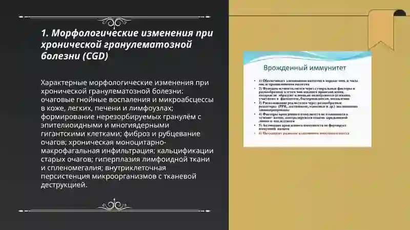 Патологическая анатомия врожденного иммунитета 3