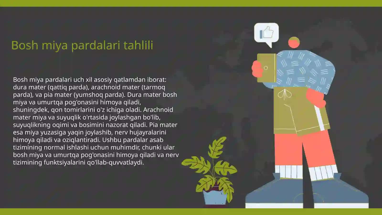 Bosh miya pardalari va venoz sistemasi tahlili 3
