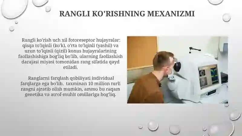 Koʻruv analizatori. Koʻzning optik tizimi 3