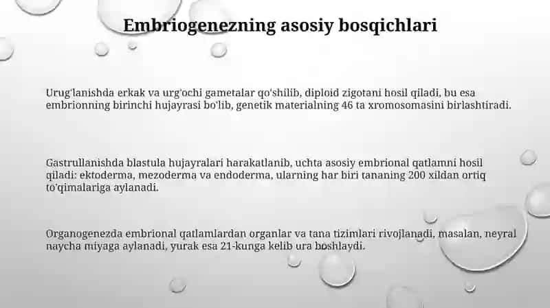 Embrion rivojlanishning umumiy qonuniyatlari 3