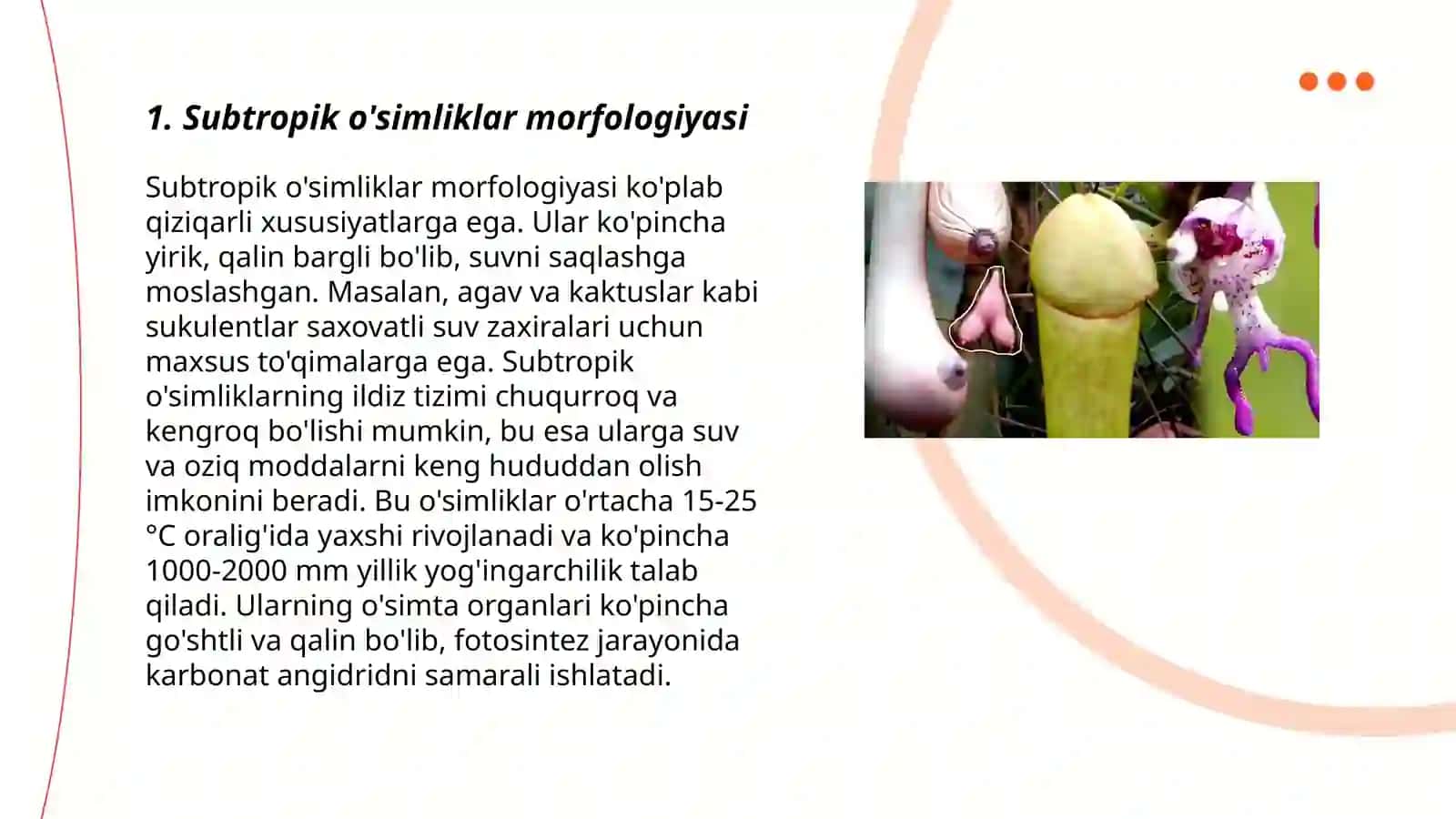 Subtropik o'simliklar va rezavor mevalar morfologiyasini o'rganish. Tokzorlarni parvarish qilish Yong'oq morfologiyasi, rivojlanishi 3
