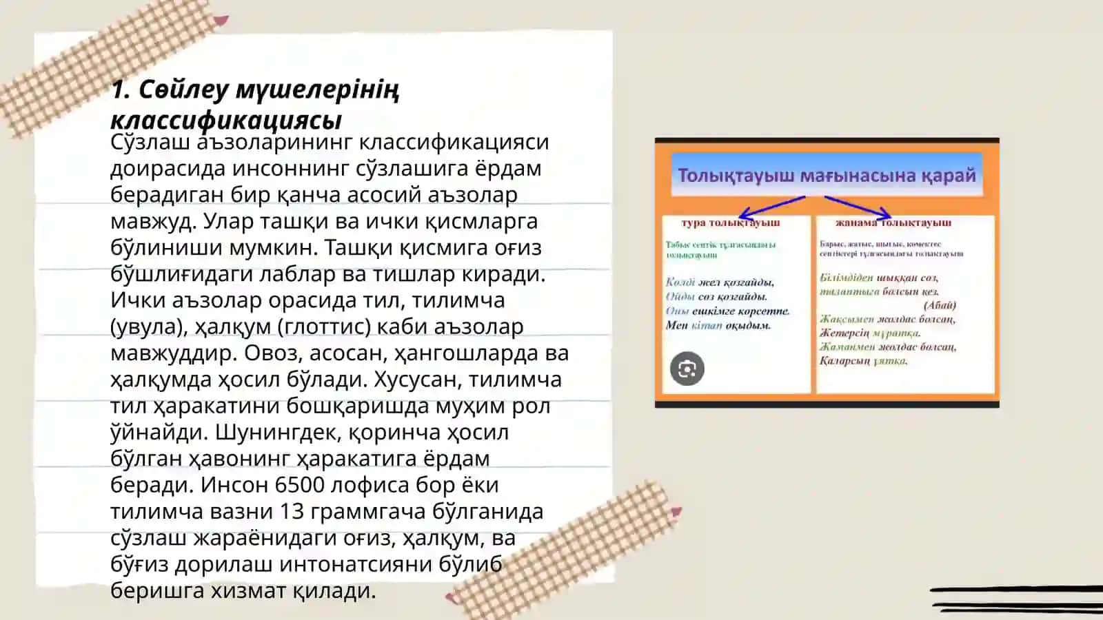 Сөйлеу мүшелері және олардың міндеттері 3