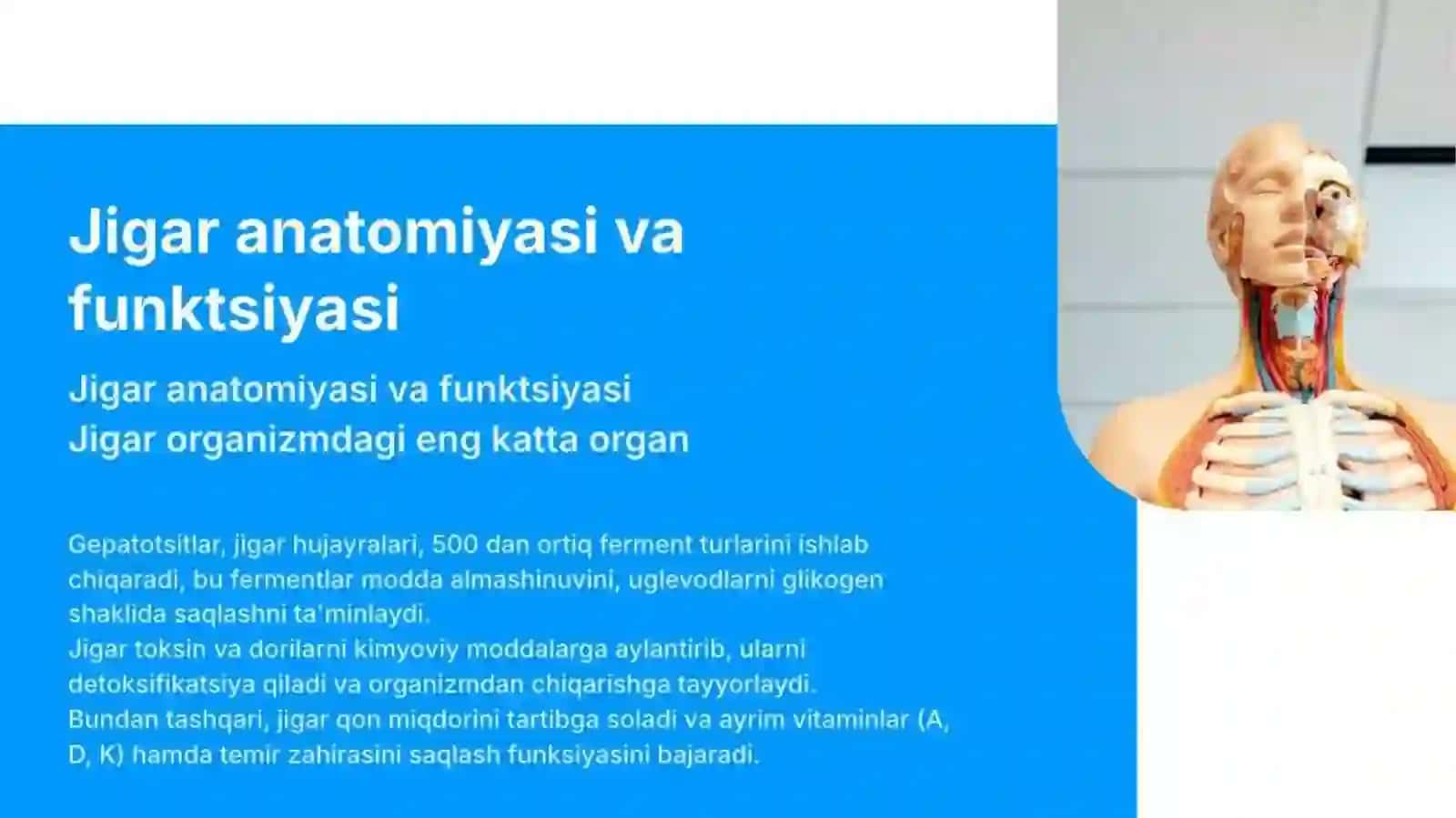 Jigarnitoksikvavositalaritasirida.zårarlanishi 3