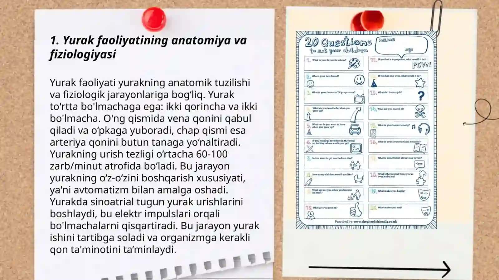 Yurak faoliyati va uning oʻrganish usullari 3