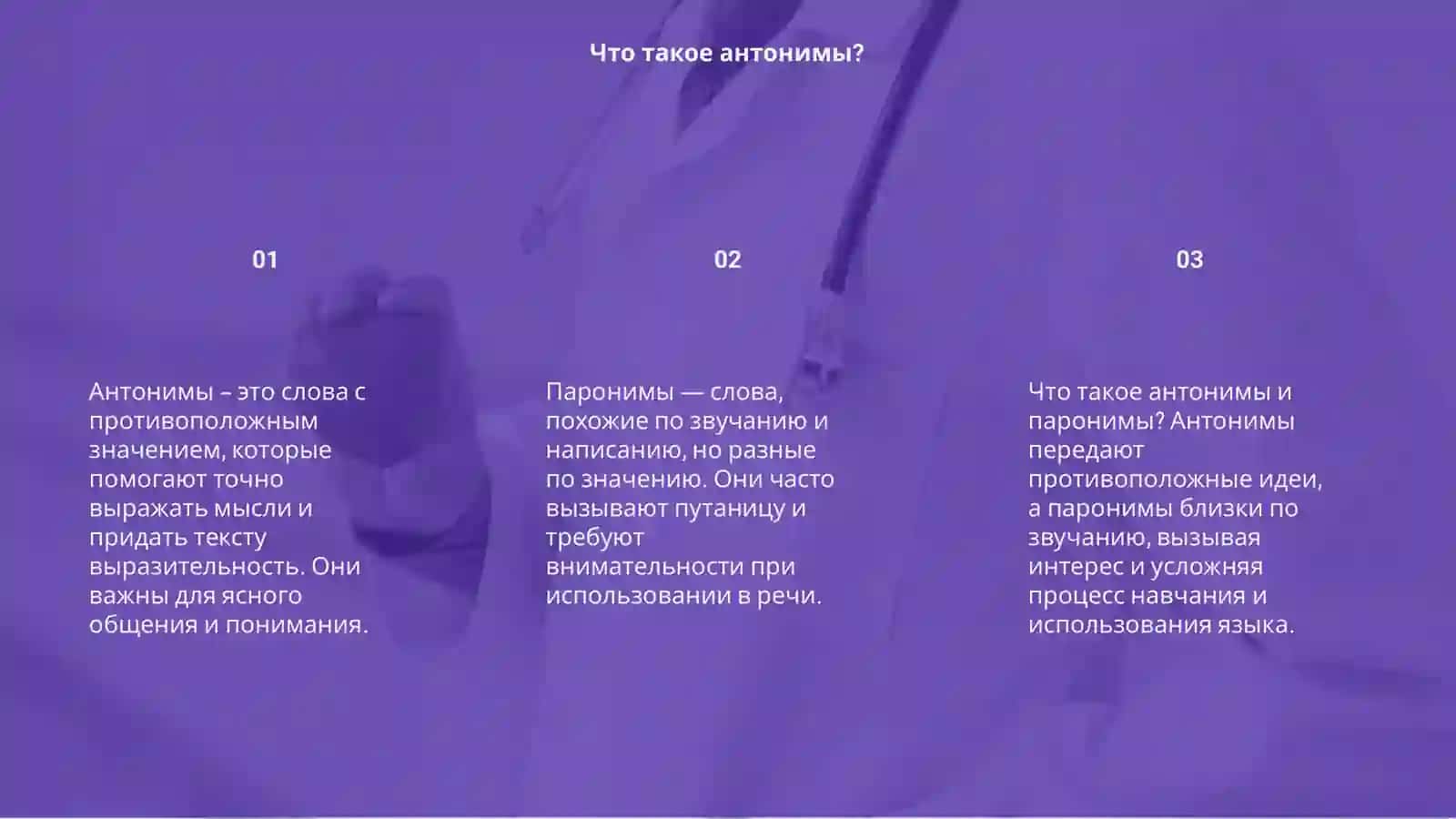Антонимы. Паронимия 3