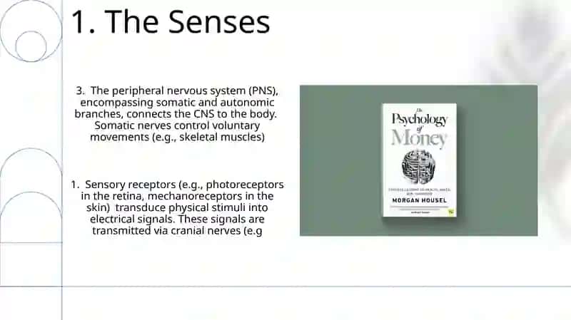 Brain and nervous system 3