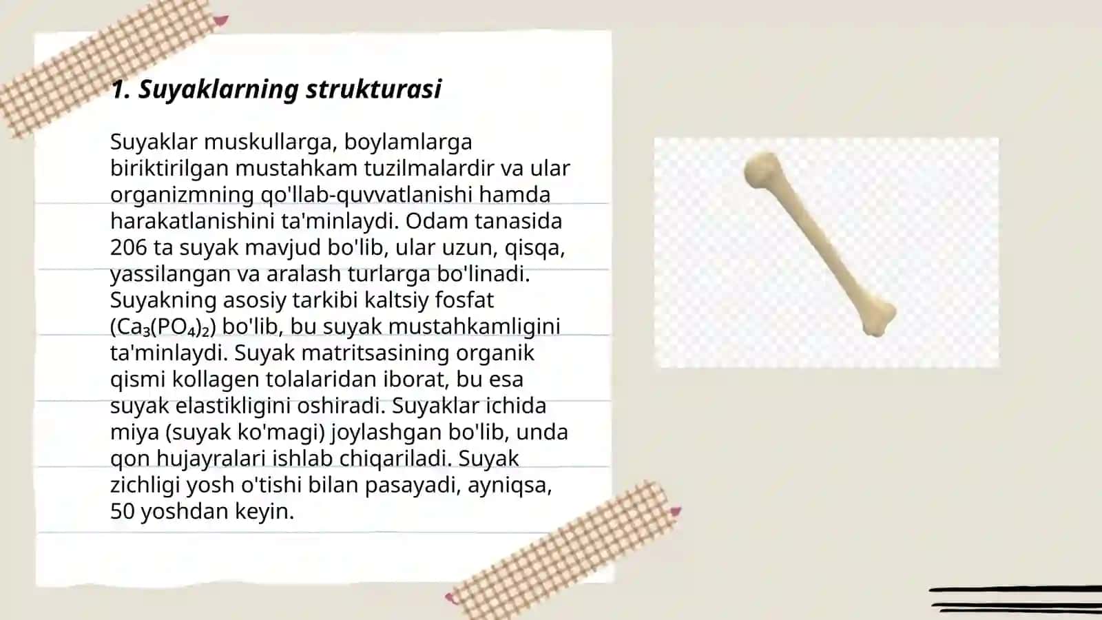 Bones 3