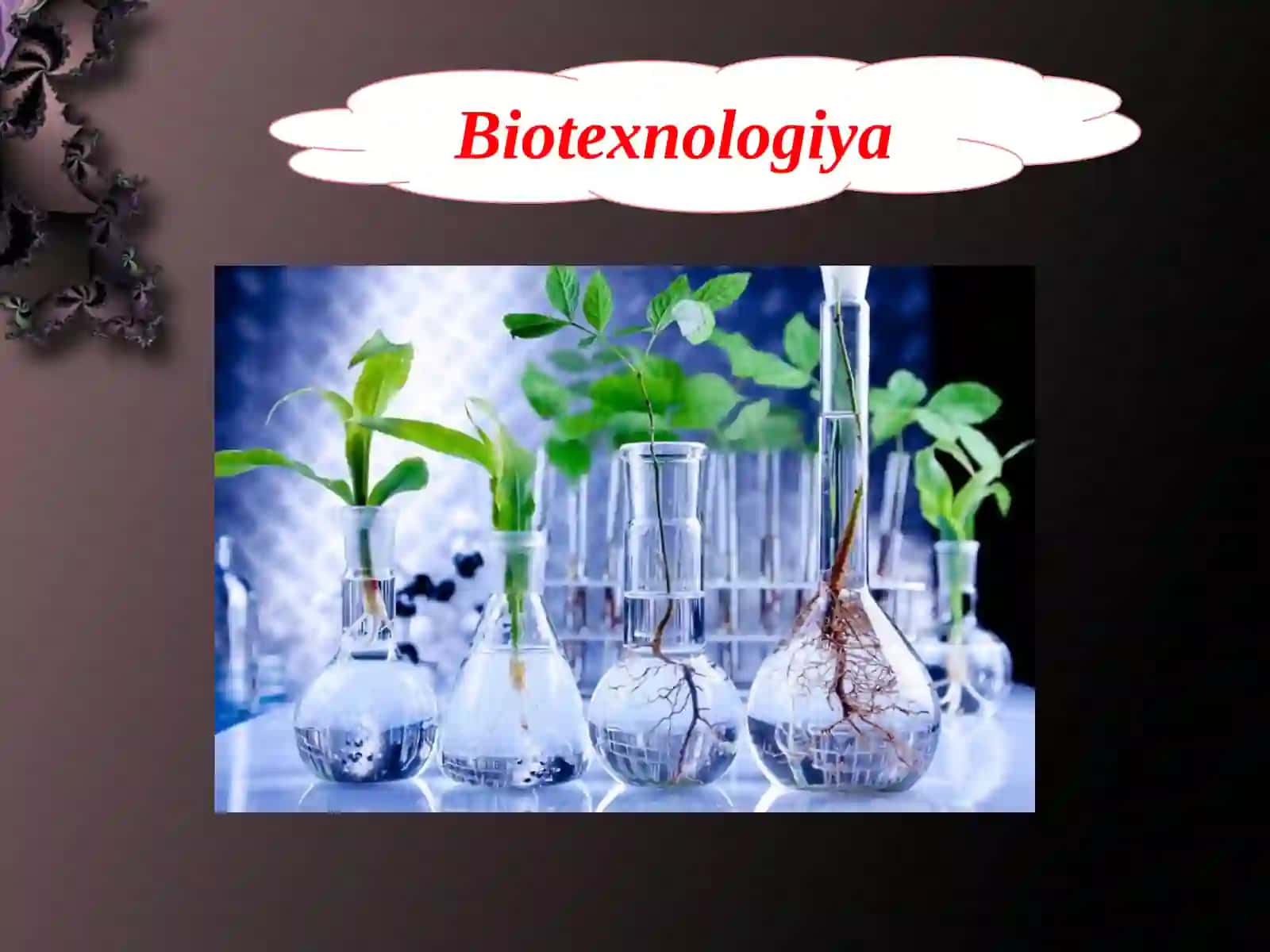 Biotexnologiya obektlari - E coli zamburug'larning umumiy xususiyatlari 3