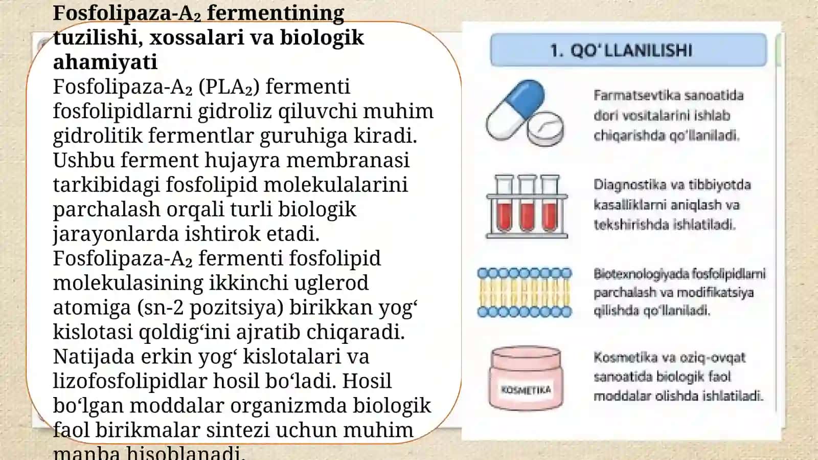 Fosfolipaza-A₂ fermentini saqlovchi preparatlarni olish texnologiyasi. 3