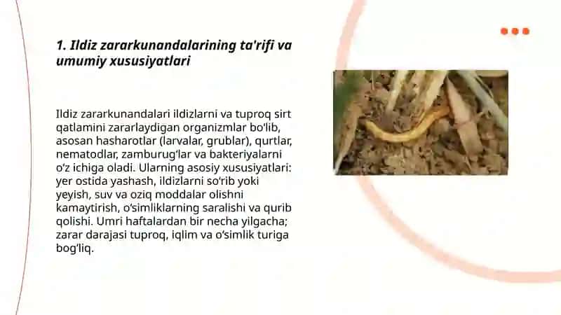 Ildiz zararkunandalarigia umumiy tarif 3