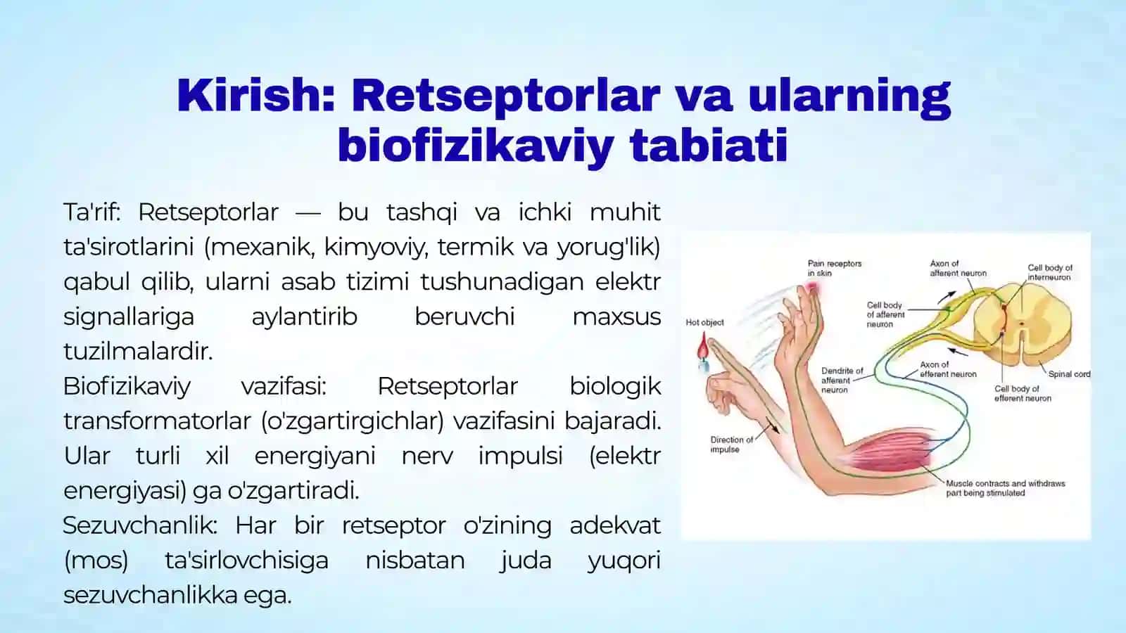 Retseptorlarda informatsiyalarni o'zgartirilishining biofizikaviy mexanizmlari. Ta'm va hid bilish n 3