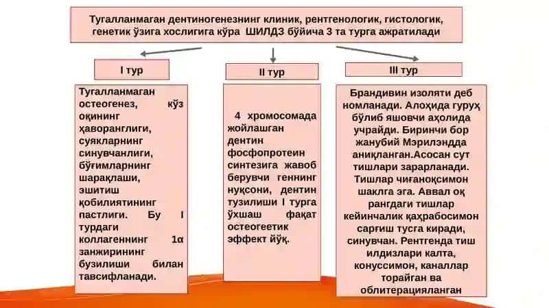 Тугалланмаган дентиногенез 3
