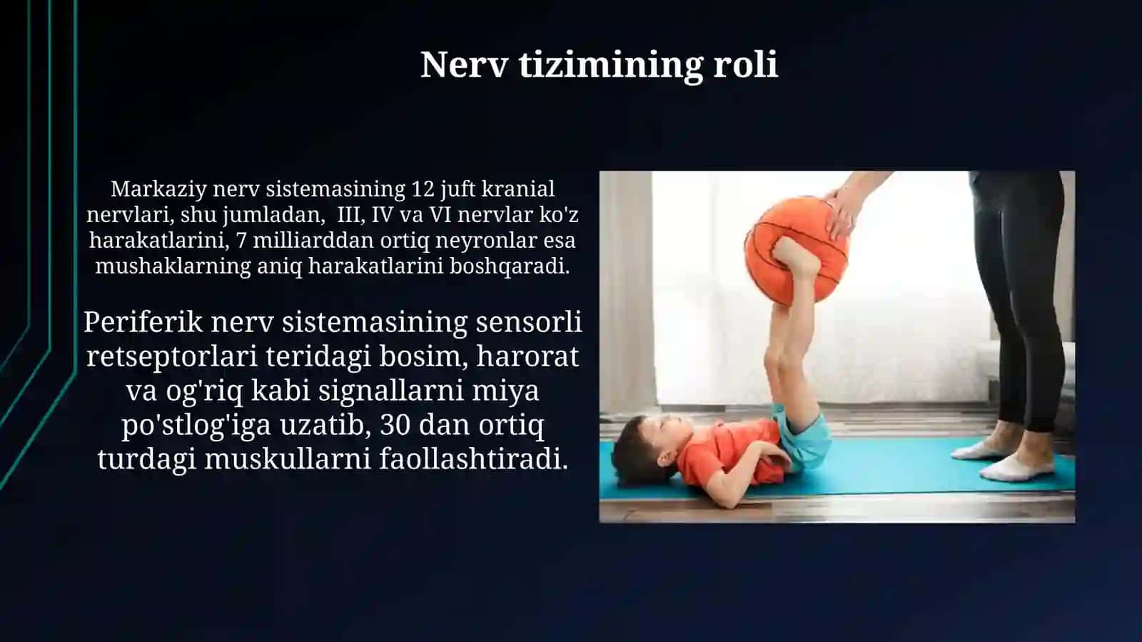 Jismoniy sifatlarga fiziologik tavsif 3