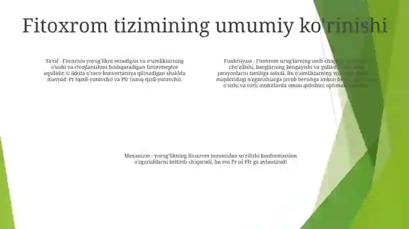 Fitoxrom Tizimi 3