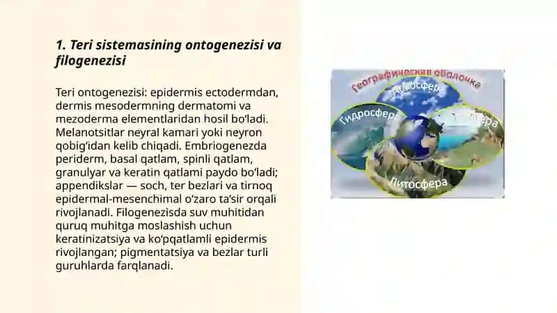 A'zolar sistemasi ontofilogenezi: teri, skelet, nerv sistemasi,qon aynishi, endokrin sistemasi. Ekologiya. Odam- ekologik omil.Biosfera va uning muommolari 3
