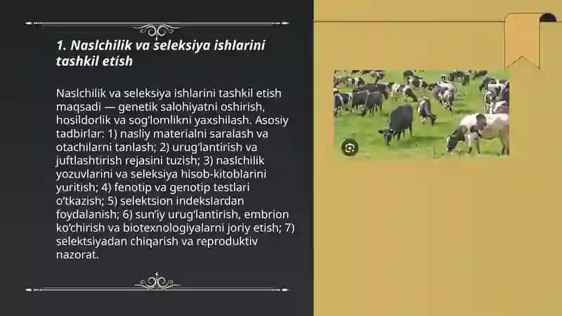 Naslchilik va seleksiya ishlarini tashkil etish 3