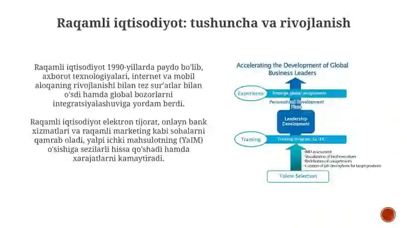 Raqamli iqtisodiyotda inson kapitali va raqamli kompetensiyalar 3