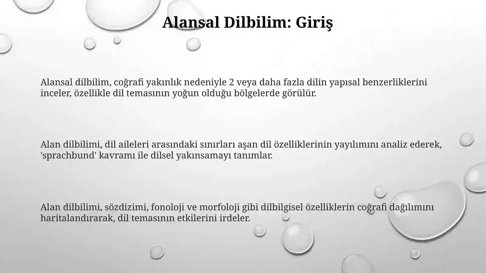 Alansal dilbilim 3