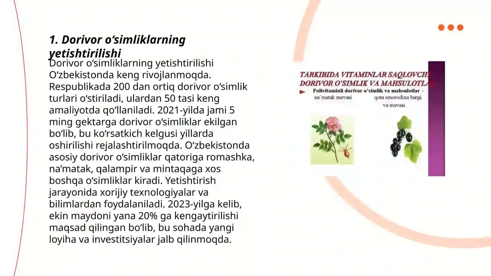 Dorivor o'simliklar sohasiga oid veb manzillar 3