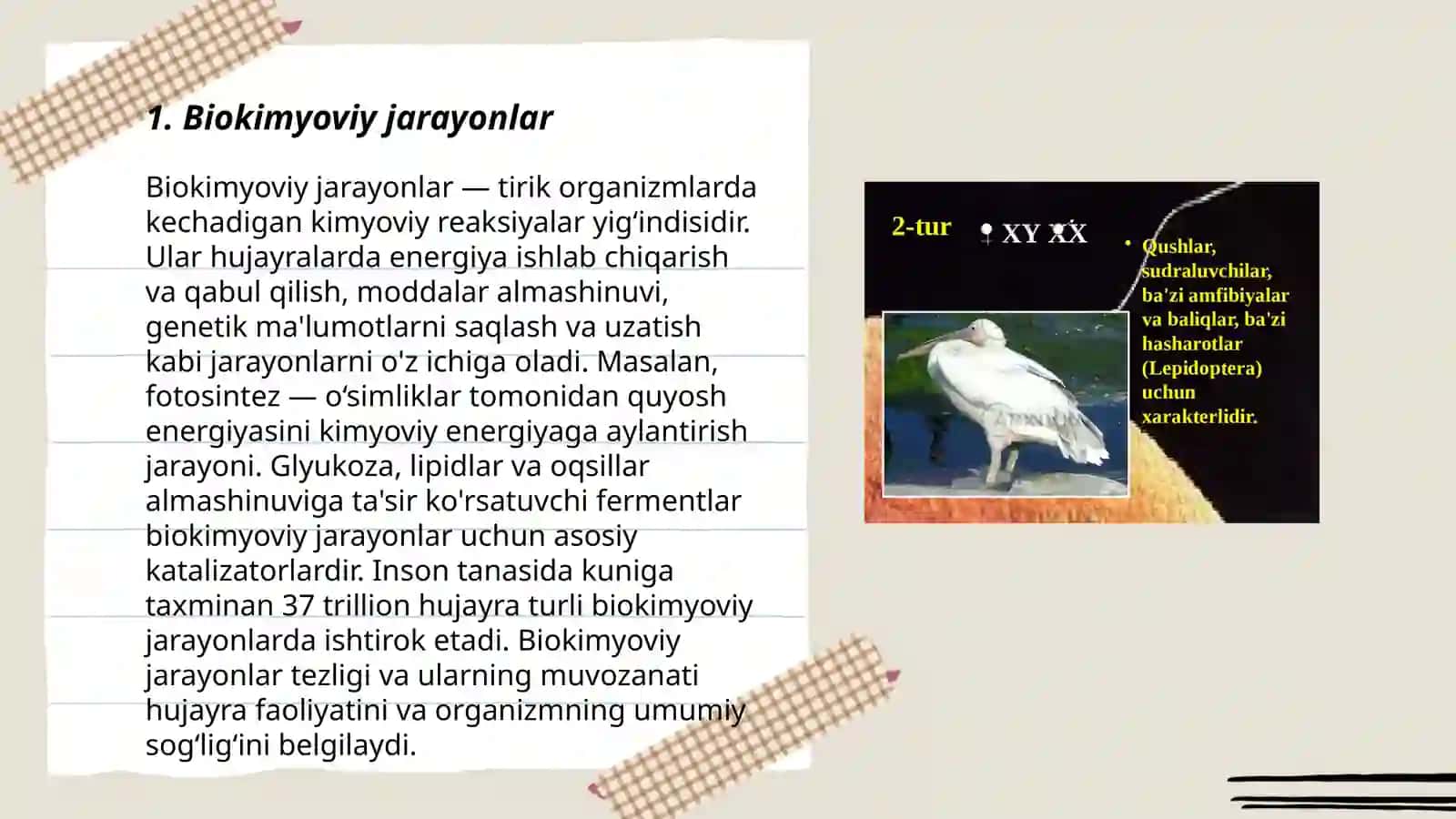 Biologiyani oʻqitishda kimyo fani bilan fanlararo bogʻlanishni amalga oshirish yoʻllari 3