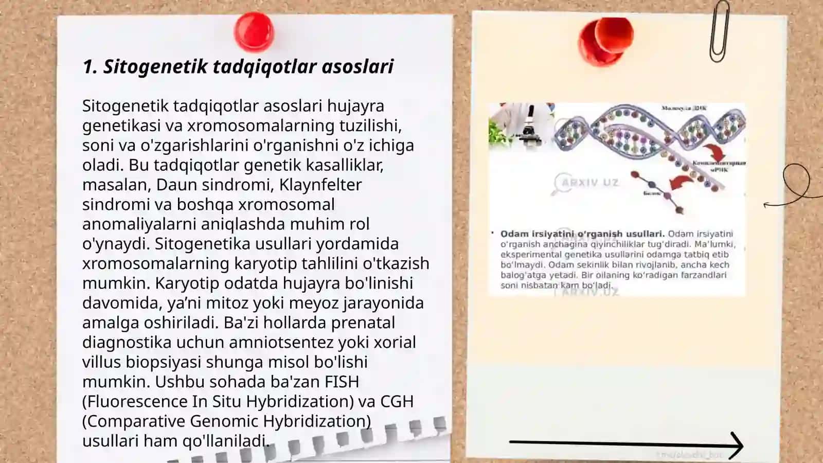 Sitogenetik tadqiqotlar asoslari 3