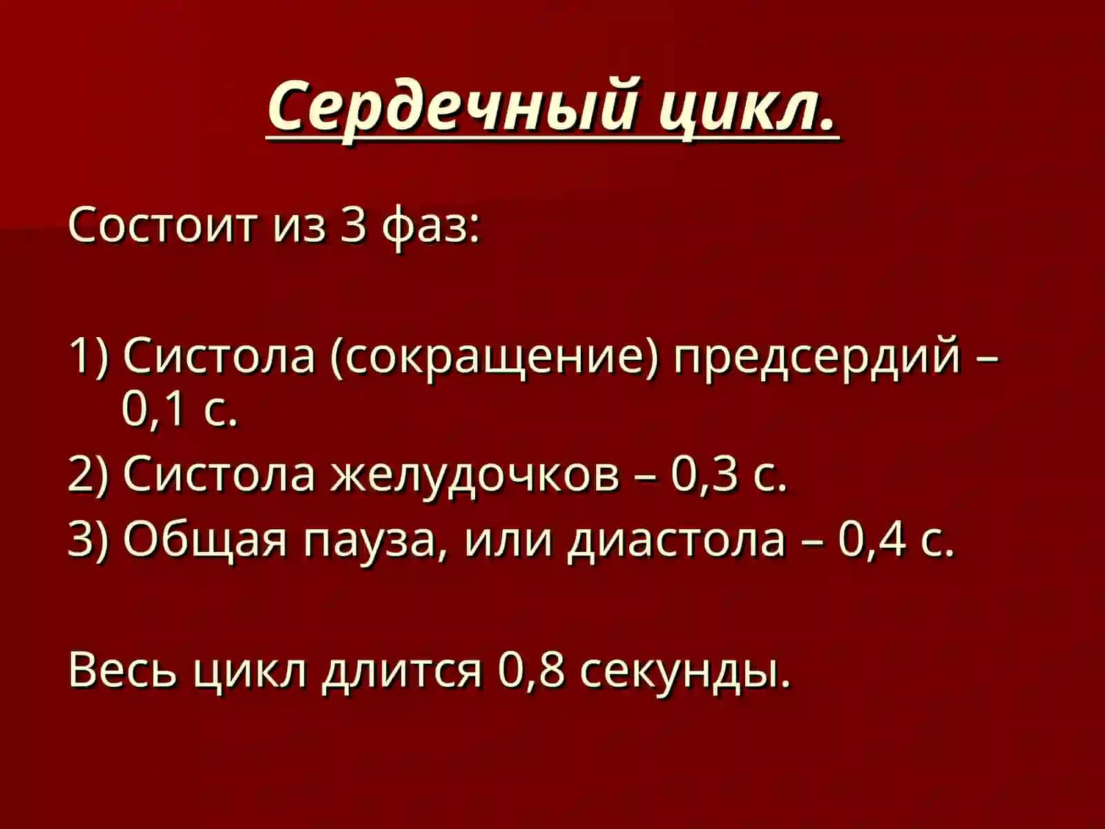 Сердечный цикл 3