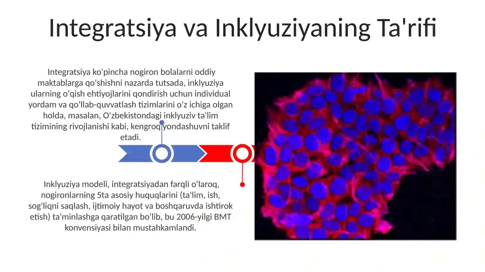 Integratsiya va inklyuziyaning qiyosiy tahlili. Reabiliyatsiya haqida tushuncha 3