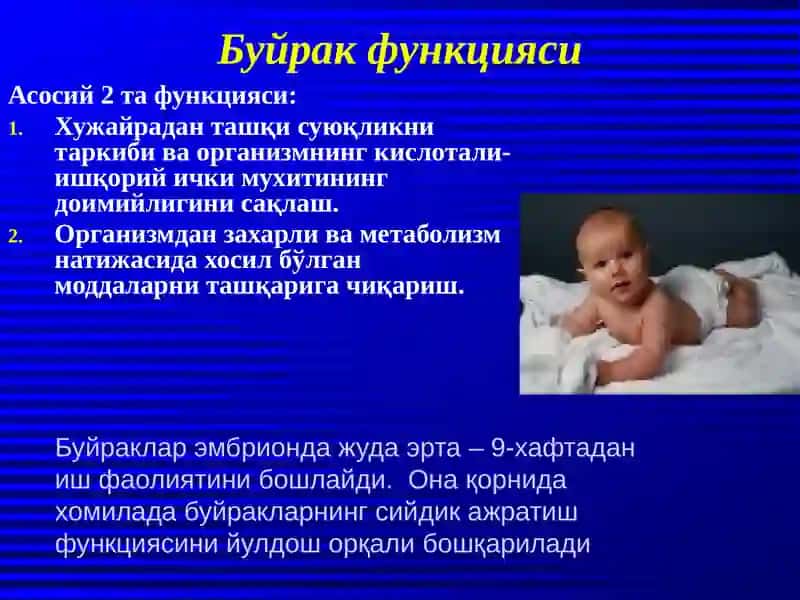 Болаларда сийдик аъзоларининг анатомо-физиологик хусусиятлари ва жарохатланиш синдромлари 3