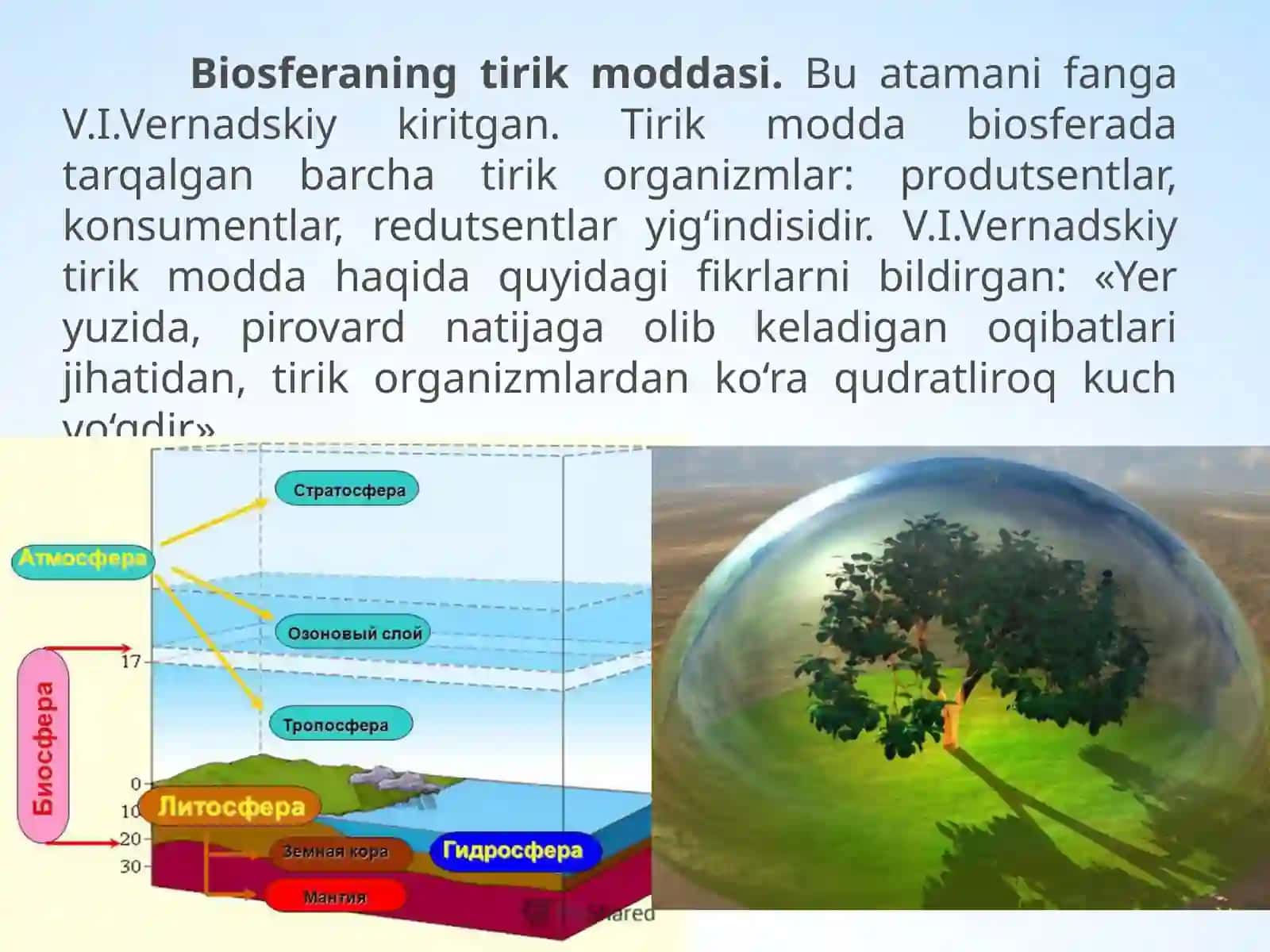 Biosferaning tarkibi. 11-sinf biologiya fanidan dars ishlanma. 3