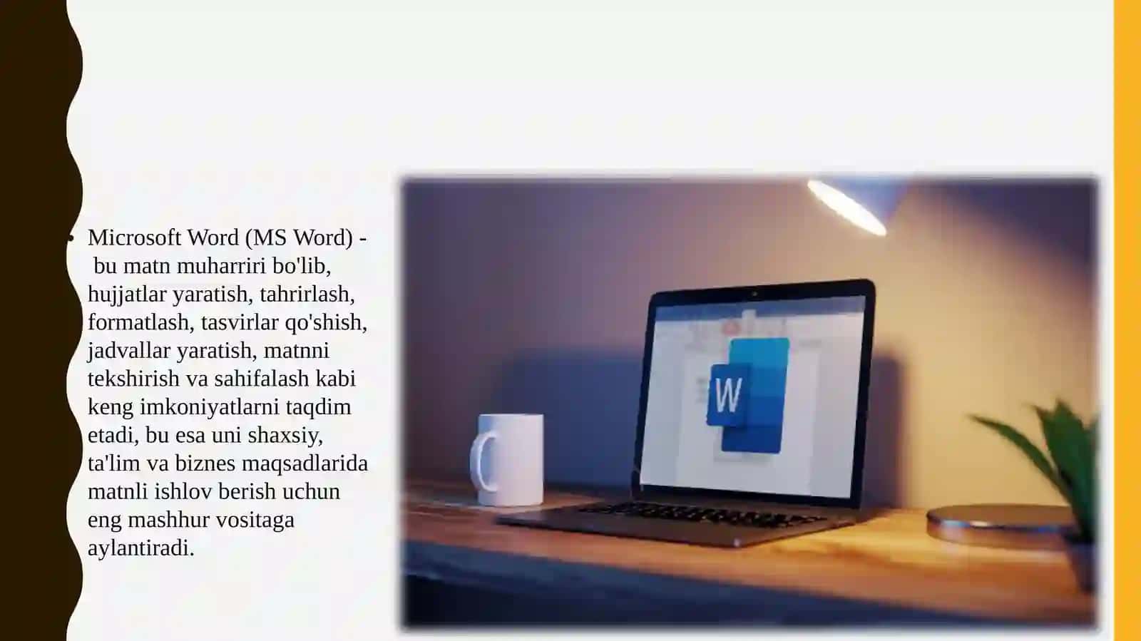 Microsoft Word 3