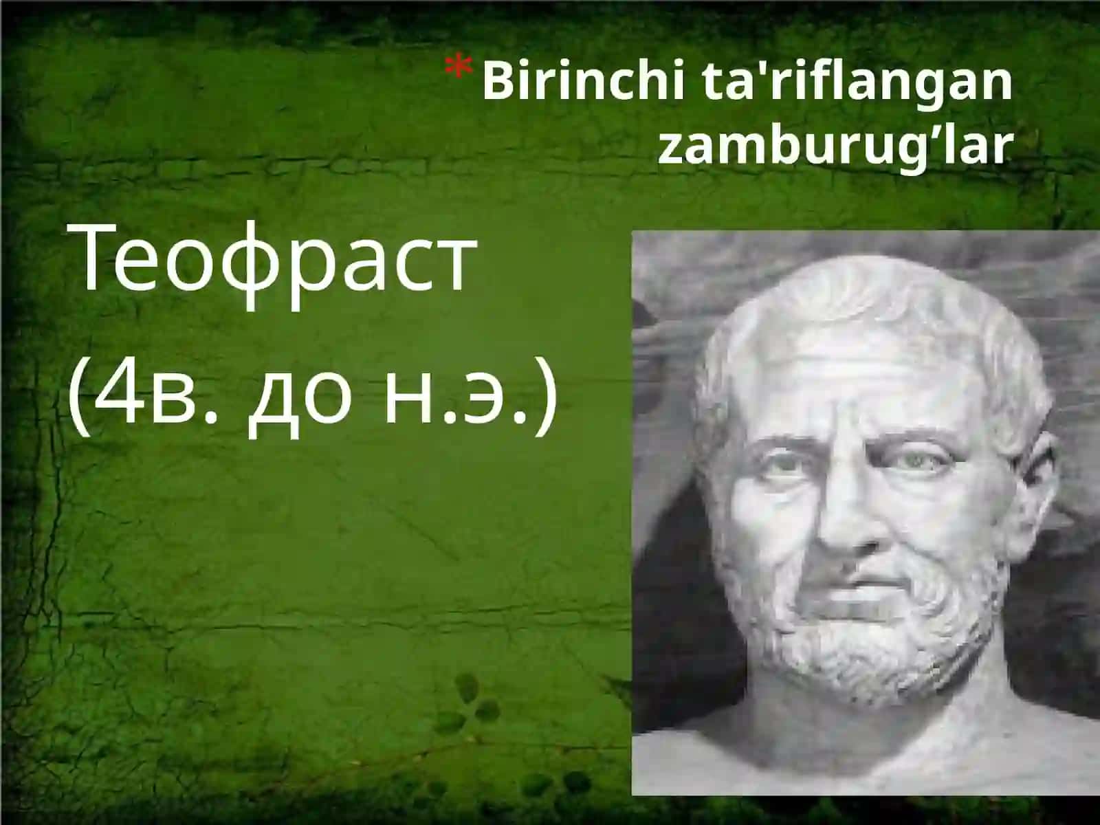 ZAMBURUG‘LARDAN PREPARAT TAYYORLASH VA BO‘YASH USULLARI 3