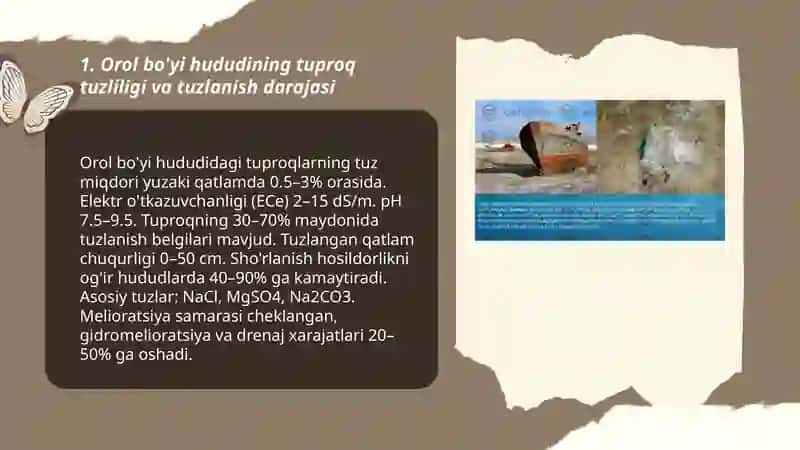 Orol bo'yi hududining ekologik milorativlik haloti 3
