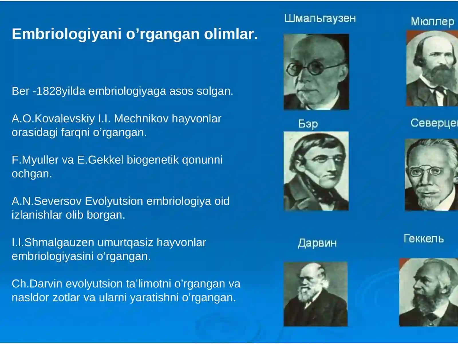 Embriologiya 3